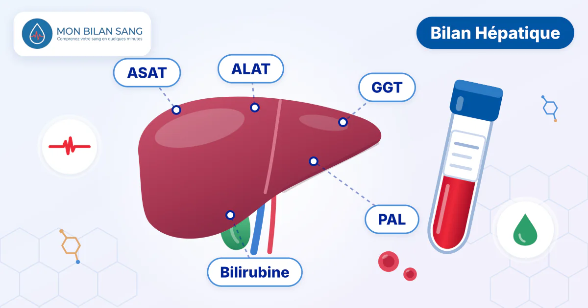 Illustration d'un foie stylisé à côté d'un tube de prise de sang et des étiquettes ASAT, ALAT, GGT, PAL et bilirubine du bilan hépatique