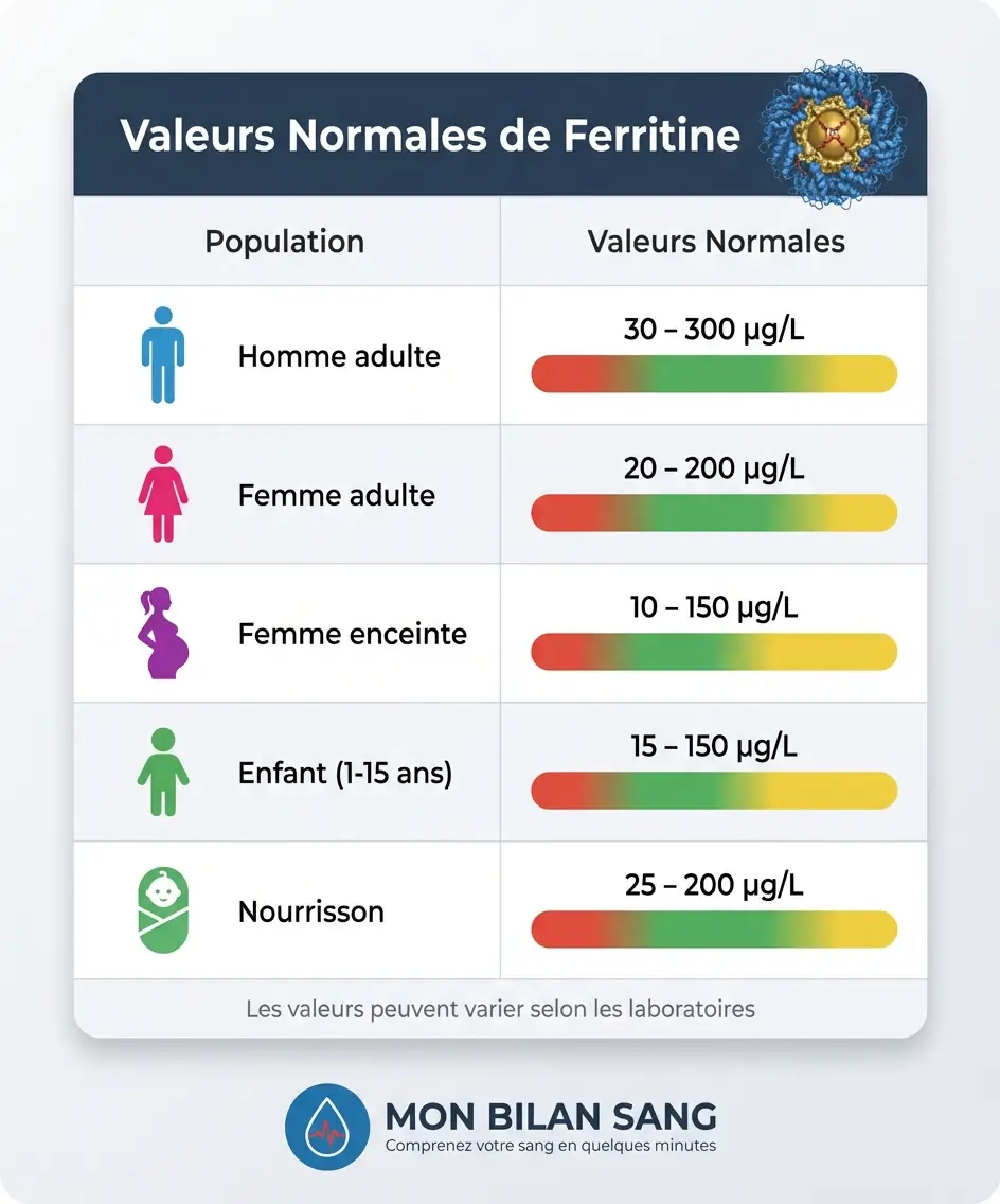 Tableau infographique montrant les valeurs normales de ferritine : homme adulte 30-300 μg/L, femme adulte 20-200 μg/L, femme enceinte 10-150 μg/L, enfant 15-150 μg/L